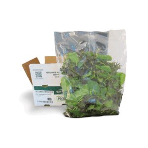 Baby Blend Kale | Styled