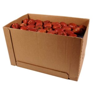 1-163CT RED DELICIOUS APPLES MARKON | Packaged