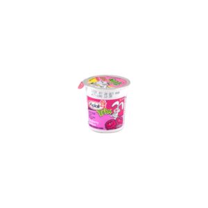 Trix Low Fat Raspberry Rainbow Yogurt | Packaged