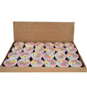 Trix Low Fat Raspberry Rainbow Yogurt | Packaged