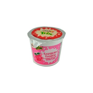 Trix Low Fat Raspberry Rainbow Yogurt | Raw Item