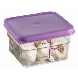 CONTAINER SQ CLR 12QT PURPLE CAMB | Styled