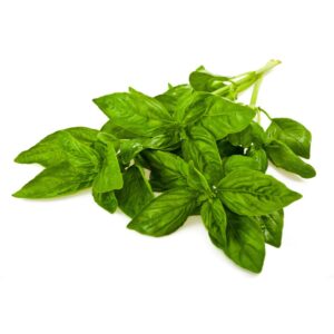 Fresh Basil | Packaged