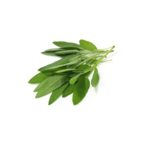 1-1/2# FRESH SAGE | Styled