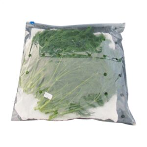 1-1/2# Fresh Dill | Packaged