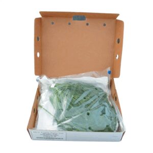 1-1/2# Fresh Dill | Packaged