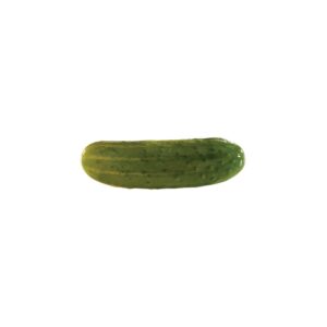 1-2GAL MINI DILL PICKLES SCHWARTZ | Raw Item