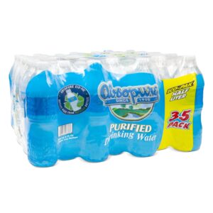 Absopure Purified Water | Corrugated Box