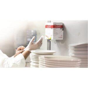 GLOVE VNYL DISP LRG PF 4-200 ONESAFE | Styled