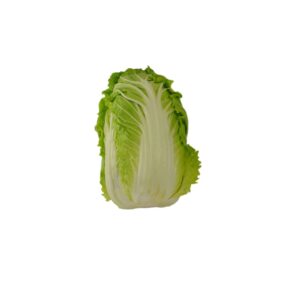 CABBAGE NAPPA 15# P/L | Raw Item