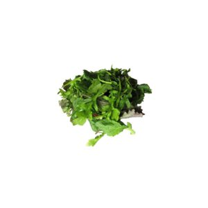 Urban Blend 2/2 lb RSS | Raw Item