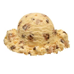 Chocolate Chip Cookie Dough Hard Serve Ice Cream | Raw Item