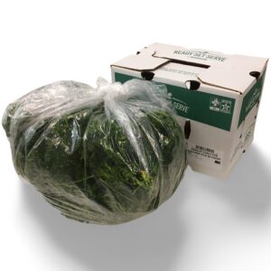 PARSLEY BUNCHED 30 CT RSS | Styled