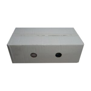 Cooked Canadian Mussels | Corrugated Box