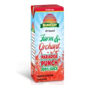 JUICE TRP PNCH VEG & FRT 40-6.75FLZ | Packaged
