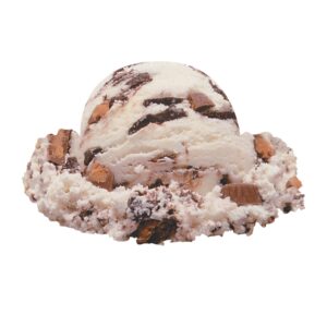 Hard Serve Ice Cream | Raw Item