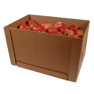 FUJI APPLES | Packaged