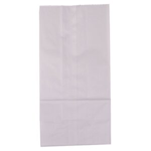 #12 Paper Bags | Raw Item