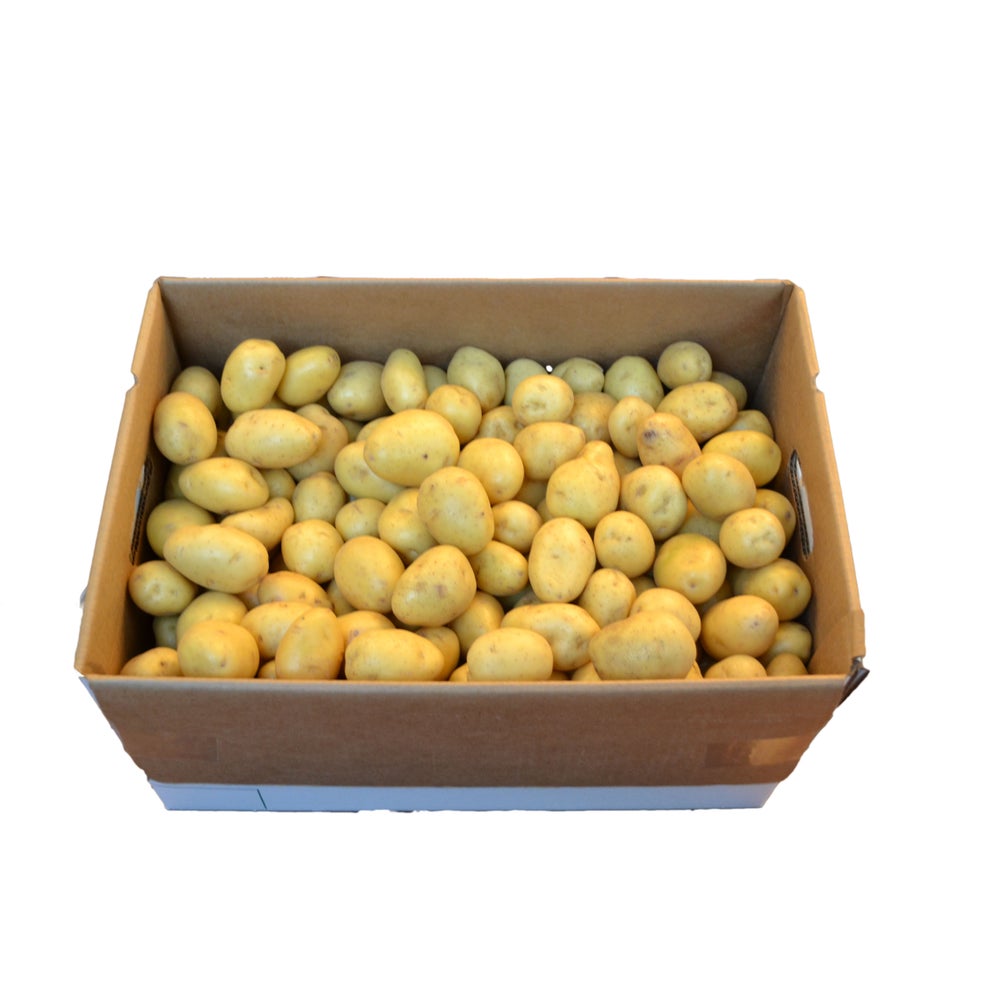 Yukon Gold Potatoes - Gordon Restaurant Market