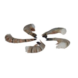 Tiger Shrimp | Raw Item