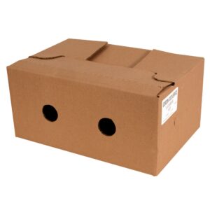 English Cucumbers | Corrugated Box