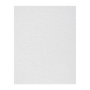 Royal Paper Fryer Filter 100ct | Raw Item