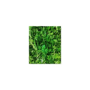 TF PARSLEY 1lb | Styled