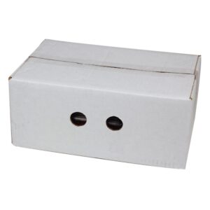 BERRIES MXD 6-6Z P/L | Corrugated Box