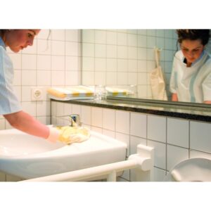 1-2.5GAL OASIS 299 BTHRM CLNR 12146 | Styled