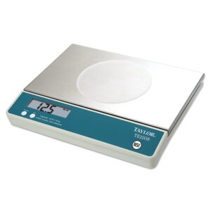 Scale Digital 22# 1ct Taylor | Raw Item