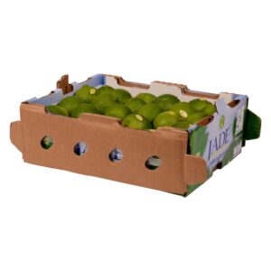LIME 110CT P/L | Packaged