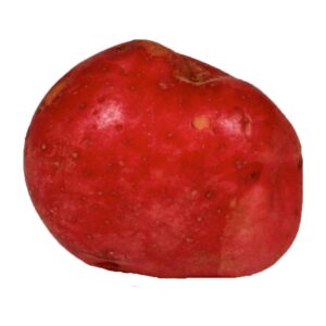 Red Potatoes | Raw Item