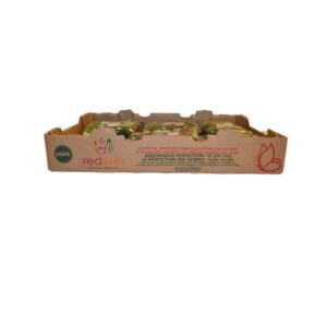 Mini Seedless Cucumbers | Corrugated Box