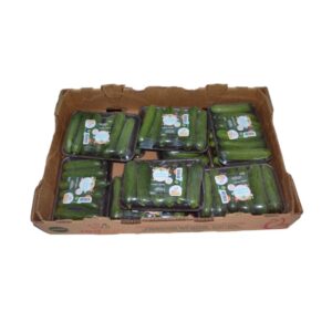 Mini Seedless Cucumbers | Packaged