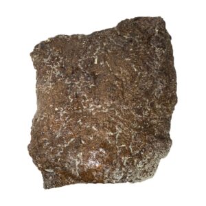 Beef Pastrami, Navel, Smoked | Raw Item