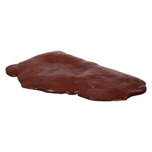 Beef Liver Whole 2-15lb | Raw Item