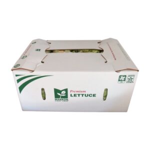 LETTUCE LEAF BTR PREM 24CT MRKN | Corrugated Box
