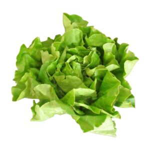 LETTUCE LEAF BTR PREM 24CT MRKN | Raw Item
