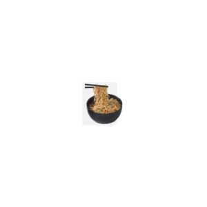 NOODLE RAMEN WGRAIN 48-2.96Z WOODLES | Styled