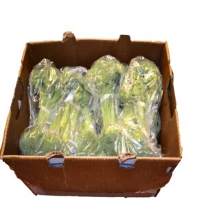 1-20#AVG ICELESS BROCCOLI CROWNS | PKG