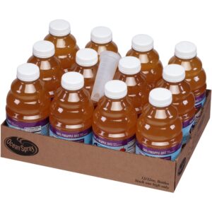 12-32Z-JUICE PINEAPPLE – 25924 | PKG