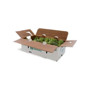Sweet Baby Broccoli | IPG