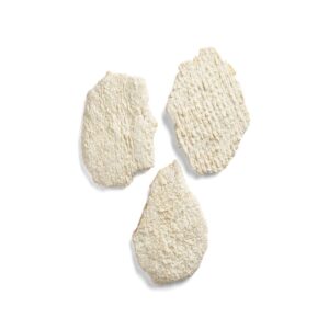 PORK LN FRTTR RAW WHL MSCL 20-8.25Z | RAW