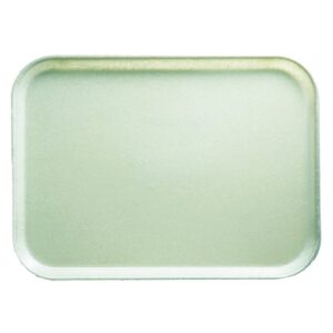 CAMTRAY 14X18 REC-ANTP | RAW