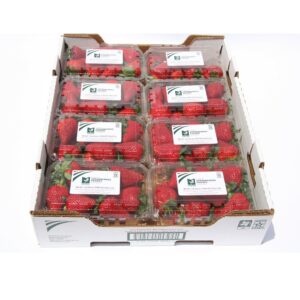 Fresh Whole Strawberries | PKG