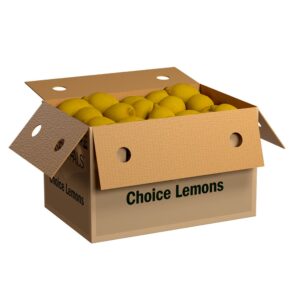 Choice California Lemons | PKG