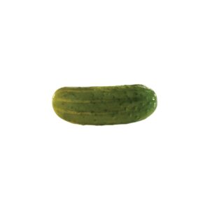 Kosher Dill Half-sour Pickles | RAW