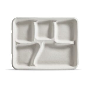 Fiber School Trays, 5 Compartment | RAW
