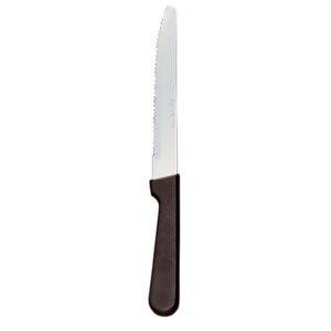 8.75 Inch Stainless Steel Serrated Steak | RAW