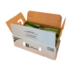 Zucchini | PKG